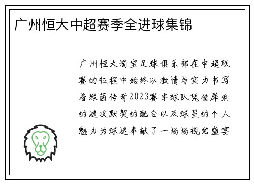 广州恒大中超赛季全进球集锦