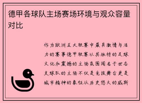 德甲各球队主场赛场环境与观众容量对比