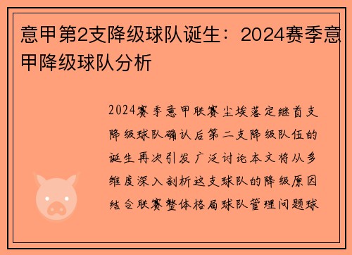 意甲第2支降级球队诞生：2024赛季意甲降级球队分析