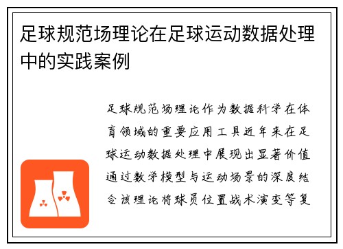足球规范场理论在足球运动数据处理中的实践案例
